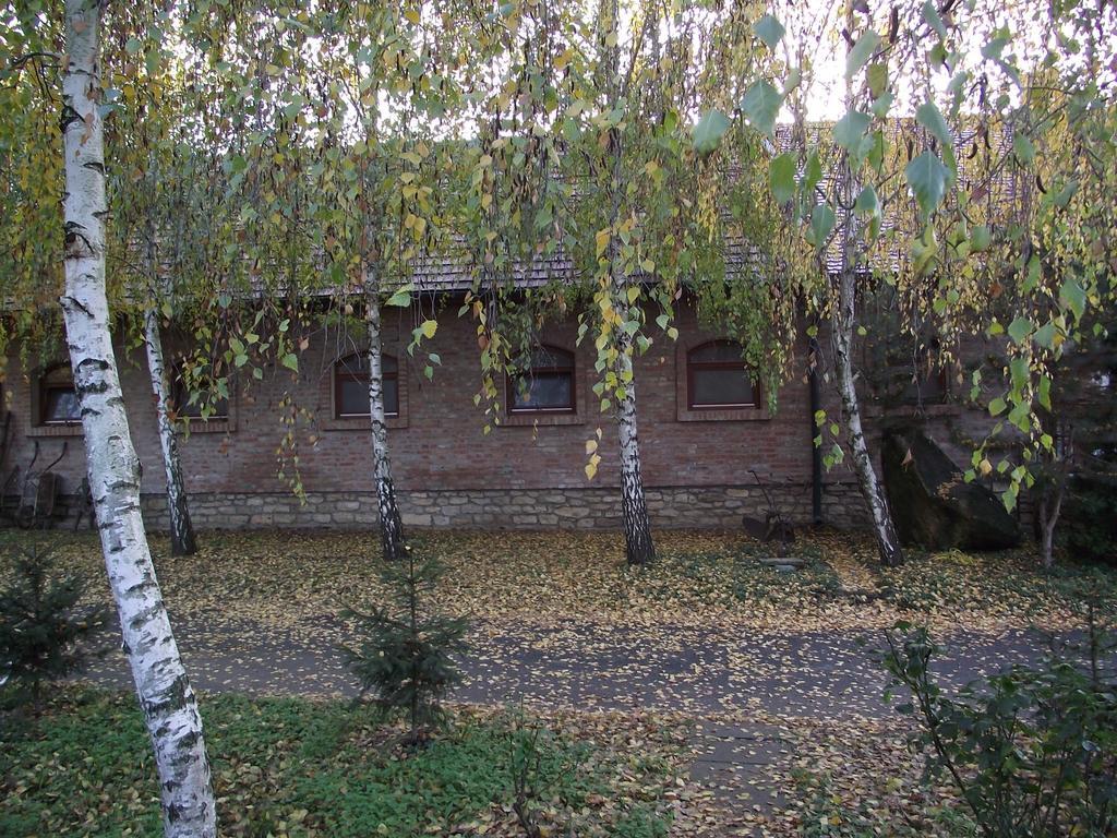 Szalma Vendeghaz Hotell Mogyorosbanya Exteriör bild