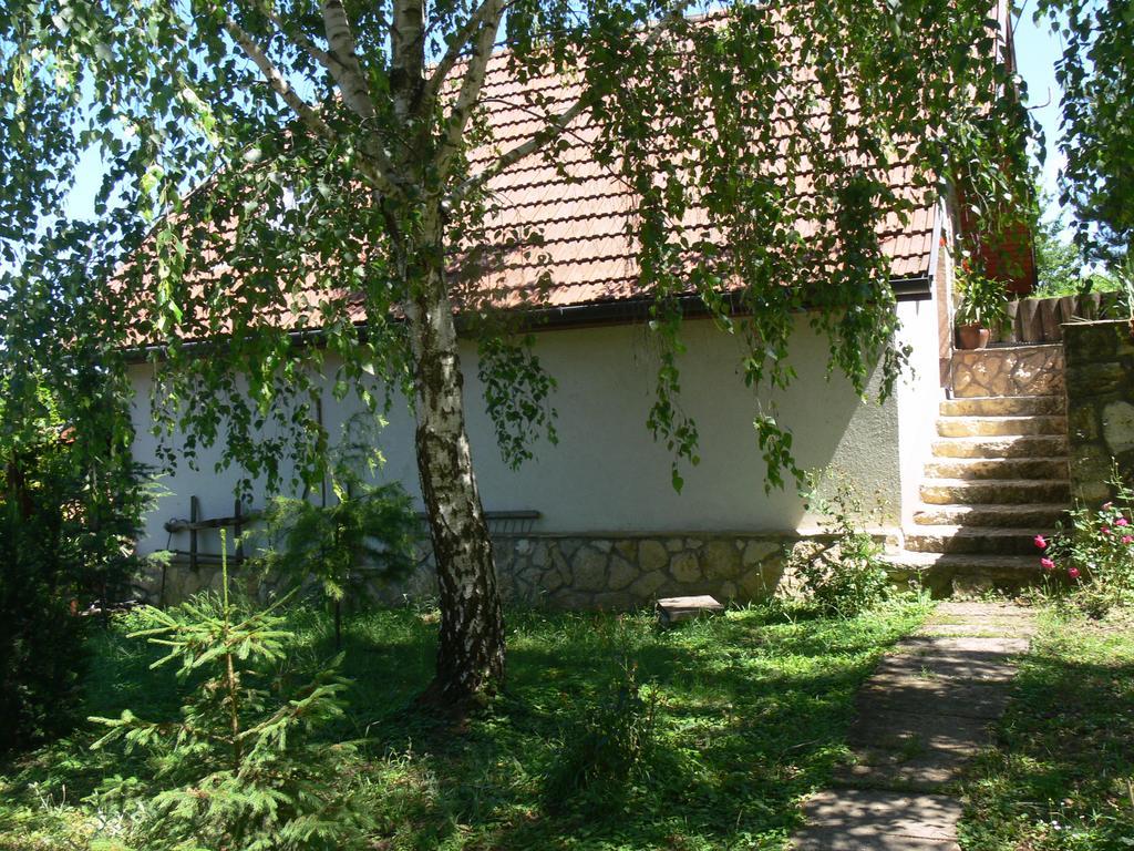 Szalma Vendeghaz Hotell Mogyorosbanya Exteriör bild