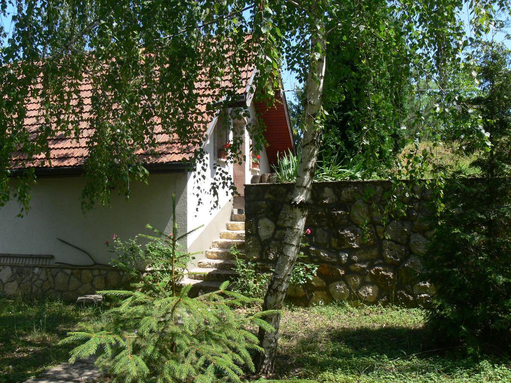 Szalma Vendeghaz Hotell Mogyorosbanya Exteriör bild