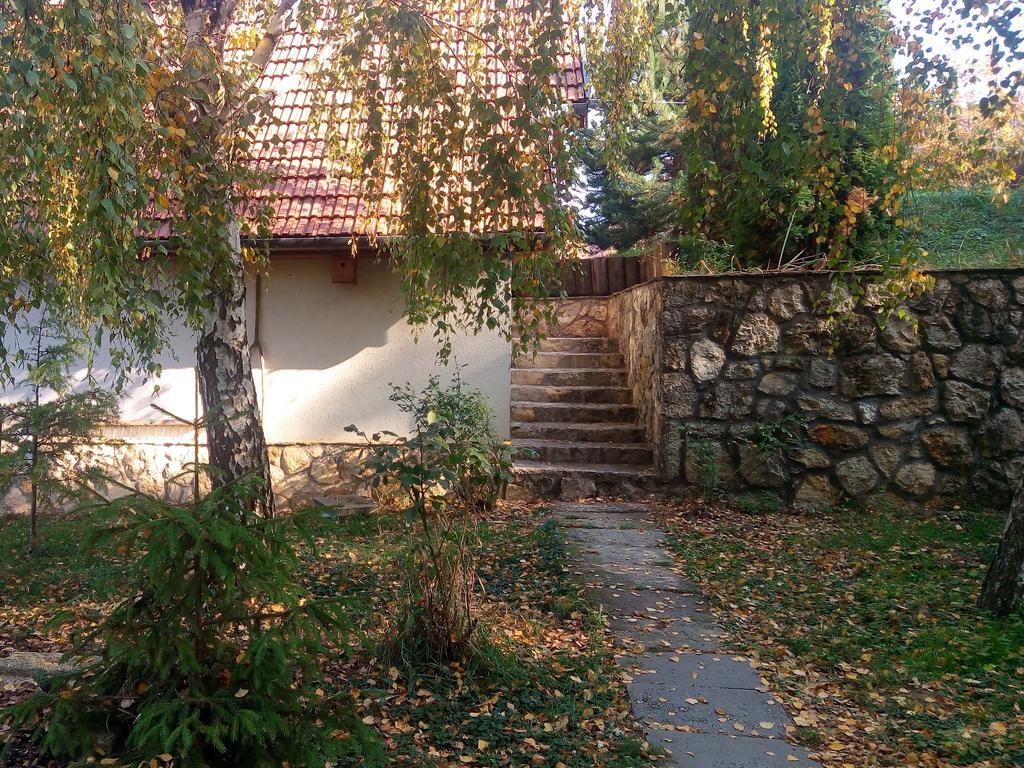 Szalma Vendeghaz Hotell Mogyorosbanya Exteriör bild