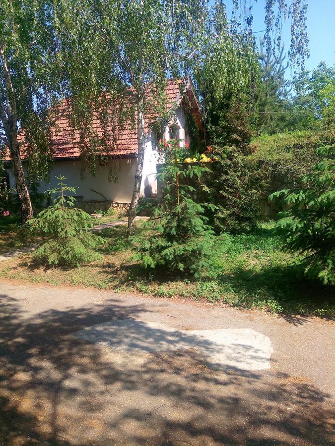 Szalma Vendeghaz Hotell Mogyorosbanya Exteriör bild